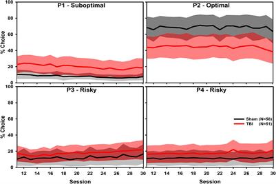 Large-N Rat Data Enables Phenotyping of Risky Decision-Making: A Retrospective Analysis of Brain Injury on the Rodent Gambling Task